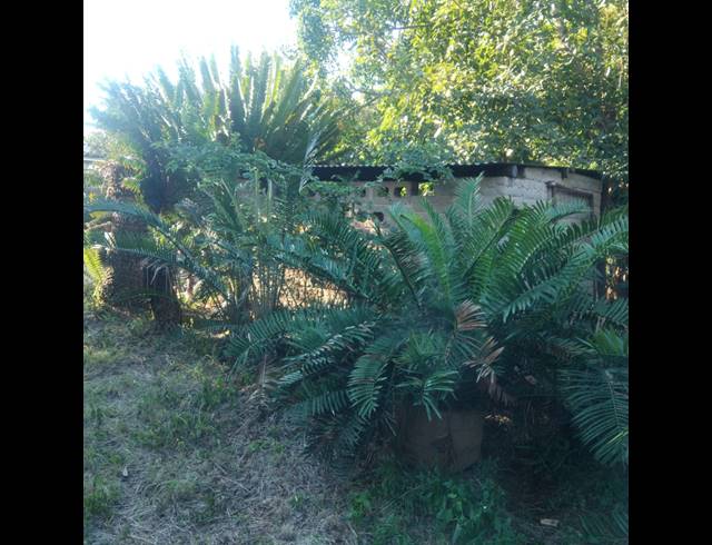 4 BEDROOM HOUSE FOR SALE IN RUSTENBURG CENTRAL